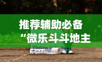 推荐辅助必备“微乐斗斗地主可以买挂吗”(原来确实是有插件)