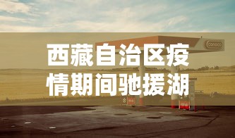西藏自治区疫情期间驰援湖北了吗