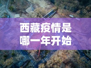 西藏疫情是哪一年开始的呢