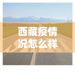 西藏疫情况怎么样最新消息
