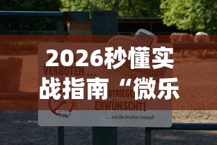2026秒懂实战指南“微乐麻将挂上免费版{透视辅助}全揭秘