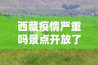 西藏疫情严重吗景点开放了吗现在