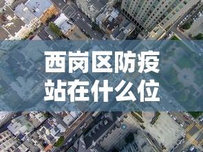 西岗区防疫站在什么位置啊