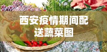 西安疫情期间配送蔬菜图