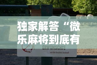 独家解答“微乐麻将到底有透视吗”附透视挂详细教程