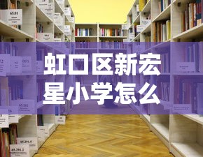 虹口区新宏星小学怎么样