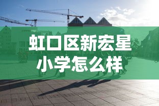 虹口区新宏星小学怎么样