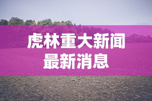 虎林重大新闻最新消息