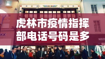 虎林市疫情指挥部电话号码是多少
