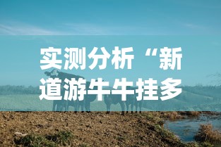实测分析“新道游牛牛挂多少钱的(确实真的有挂) 实测分析“新道游牛牛挂多少钱的(确实真的有挂)