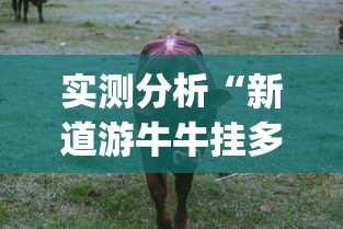 实测分析“新道游牛牛挂多少钱的(确实真的有挂)