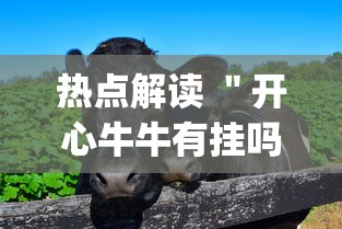 热点解读 ＂开心牛牛有挂吗”(果然有透视挂)
