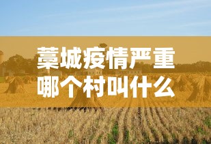 藁城疫情严重哪个村叫什么