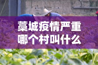 藁城疫情严重哪个村叫什么