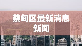 蔡甸区最新消息新闻