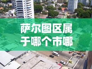 萨尔图区属于哪个市哪个区