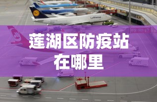 莲湖区防疫站在哪里 莲湖区防疫站在哪里