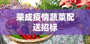 荣成疫情蔬菜配送招标