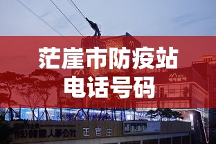茫崖市防疫站电话号码