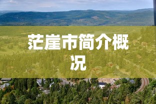 茫崖市简介概况