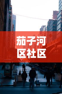 茄子河区社区医院电话