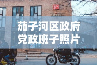 茄子河区政府党政班子照片
