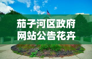 茄子河区政府网站公告花卉园平房
