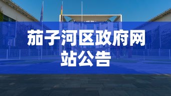 茄子河区政府网站公告
