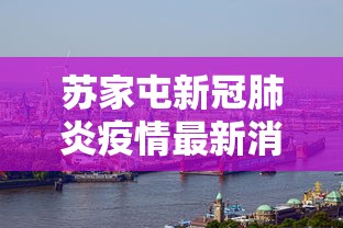 苏家屯新冠肺炎疫情最新消息