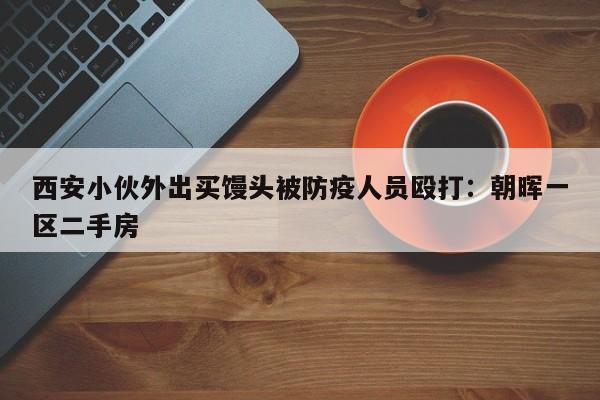 西安小伙外出买馒头被防疫人员殴打：朝晖一区二手房