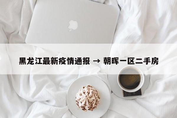 黑龙江最新疫情通报 → 朝晖一区二手房
