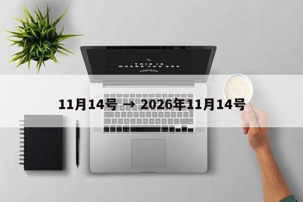 11月14号 → 2026年11月14号