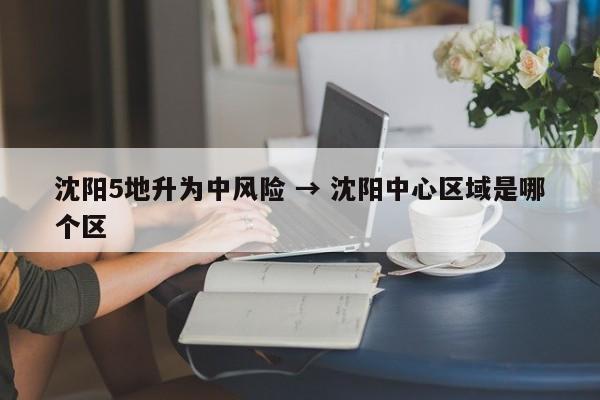沈阳5地升为中风险 → 沈阳中心区域是哪个区