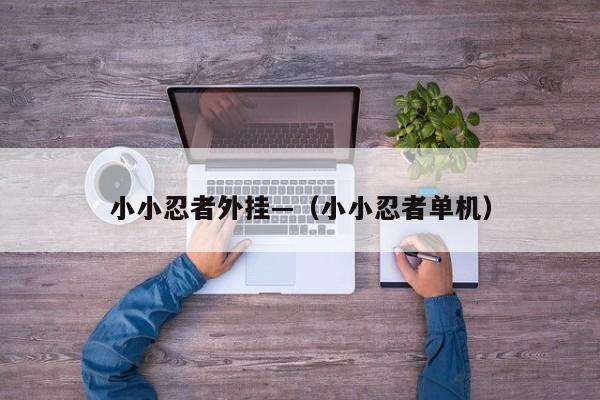 小小忍者外挂—（小小忍者单机）