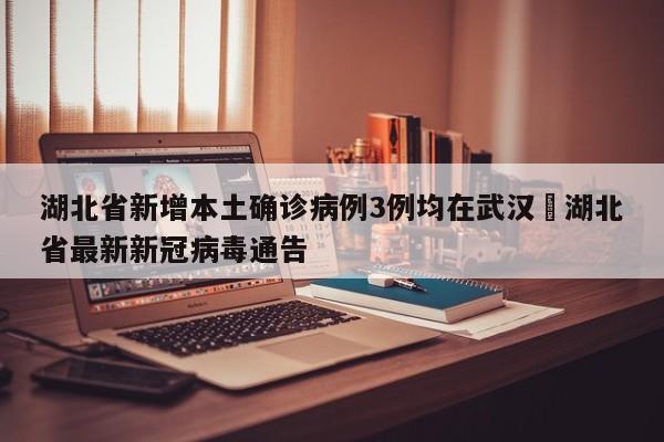 湖北省新增本土确诊病例3例均在武汉›湖北省最新新冠病毒通告