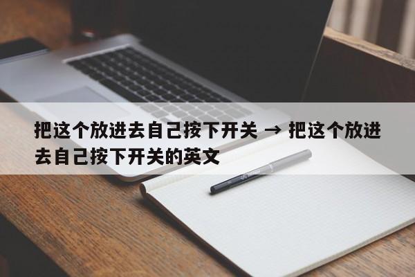 把这个放进去自己按下开关 → 把这个放进去自己按下开关的英文