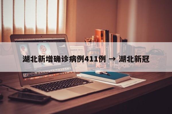 湖北新增确诊病例411例 → 湖北新冠