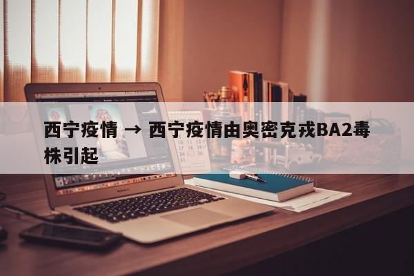 西宁疫情 → 西宁疫情由奥密克戎BA2毒株引起