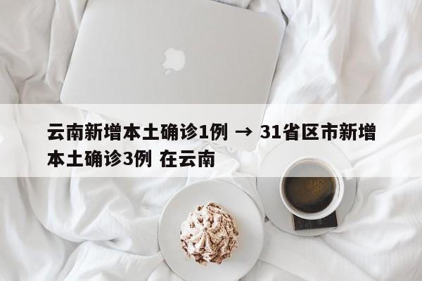 云南新增本土确诊1例 → 31省区市新增本土确诊3例 在云南