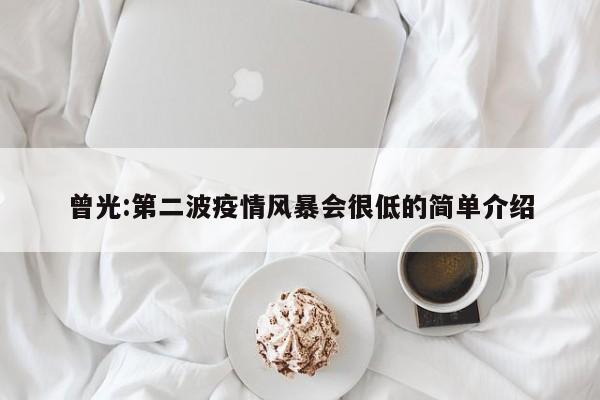 曾光:第二波疫情风暴会很低的简单介绍