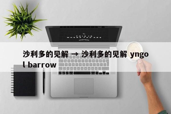 沙利多的见解 → 沙利多的见解 yngol barrow