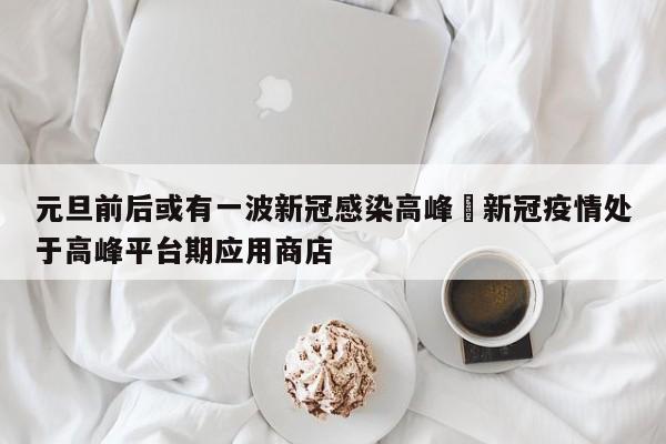 元旦前后或有一波新冠感染高峰›新冠疫情处于高峰平台期应用商店